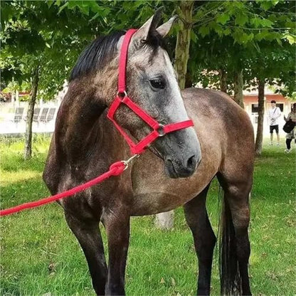 Cattle Halter Horse Equitation Padded Halter Bridle Comfortable Firm and Deformable Rein Equestrian Adjustable Head(Red L) - color: Red L