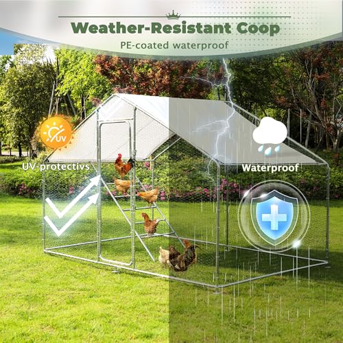 Metal Chicken Coop, 9.8 x 6.6 x6.6 Walk-in Chicken Run for 10 Chicken with Upgrade Roosting Perch, Water-Resident and Anti-UV Cover, Sturdy Spire Roof Chicken House for Outdoor Farm Use - color: Spire Roof