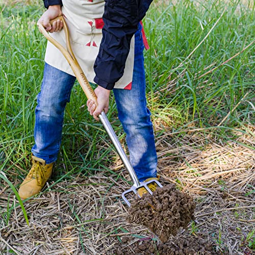Berry&Bird Gardening Digging Fork, 4-Tine Stainless Steel Pitchfork, 43.9" Heavy Duty Spading Fork with D-Grip Handle and Ergonomic Ash Wood Handle for Digging, Planting, Cultivating, Aerating - size: 44in
