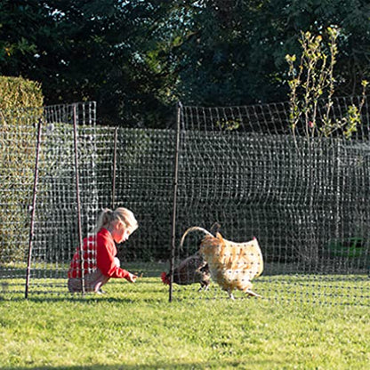 Omlet Chicken Fencing | High Poultry Netting with Door | Significantly Higher Than Other Moveable Fencing Options on The Market | Give Your Chickens More Space | 39ft - size: 39ft