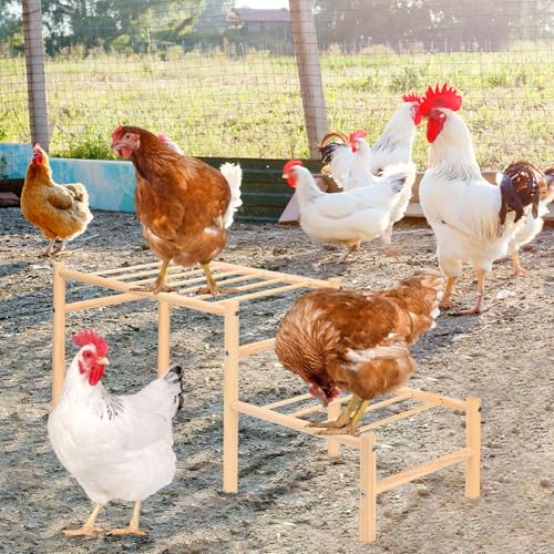 M METERXITY Chicken Perch, Wooden Chicken Roosting Bars, Training Chick Perch for Coop and Brooder, Chick Ladder for Poultry/Birds/Hens/Parrot