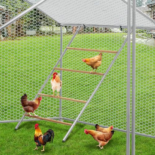 Chicken Perch for Coop, Chicken Roosting Bars for Backyard Poultry Farm, Roost Bars for Hen Coop Accessories, Easy Installation