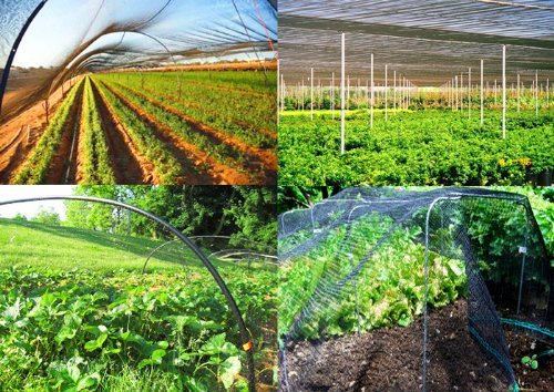 Strong All Season 100ft x100ft Net Long Lasting Netting for Bird Poultry Aviary Game Pens New 2" Square Mesh Size - size: 100ft x 100ft