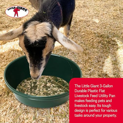 Little Giant 3 Gallon Durable and Versatile Plastic Flat Farm Livestock and Pet Ranch Home Feed and Water Utility Pan, Green (4 Pack)