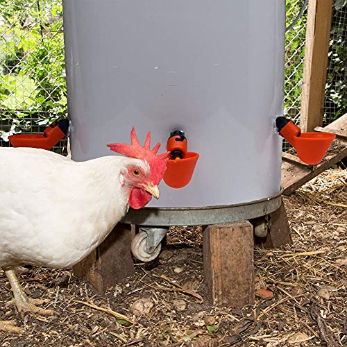 DoubleWood 36Pack Fully Automatic Poultry Drinking Machine Chicken Drinking Cup, Chicken Drinking Watering Cups/Poultry Drinking Machine (36)