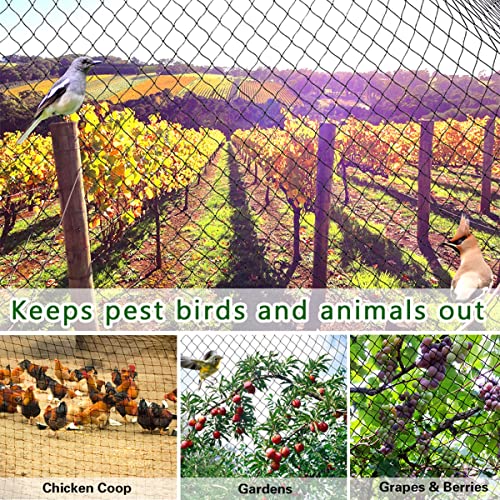 OGORI 50' x 50' Bird Netting Heavy Duty Nylon 3/4" Mesh Garden Netting Protect Fruit Trees, Plants and Vegetables - size: 50'×50'-3/4''