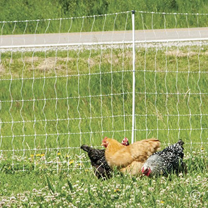 Premier 1 PoultryNet® Electric Fence for Chickens – 48"H x 164'L | White/black, step-in posts. Contains chickens, ducks & turkeys. Keeps out coyotes, foxes & dogs. Energizer sold separately.