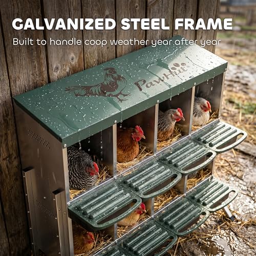 PawHut Chicken Nesting Boxes, 8 Compartment Metal Nesting Boxes for Chickens, Two-Tier Egg Laying Boxes with Vented Holes for Easy Egg Collection, for Hens Ducks, Silver - size: 43.7"L x 21.7"W x 37.6"H, style: Open Front