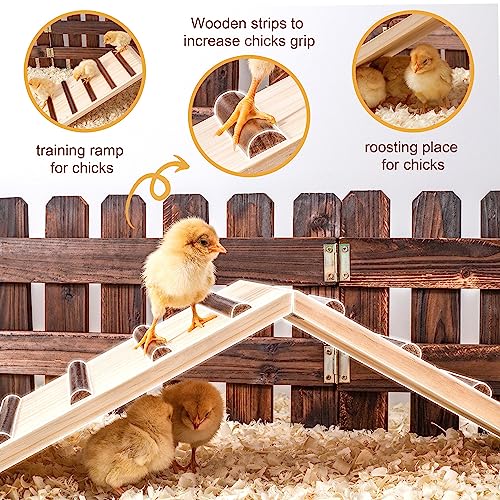 Chick Supplies, Chick Perch & Chicken Roost, Chick Stand Training Perches, Roosting, Wooden Chick Ramp Trainer, Chick Toys for Brooder, No Assemble, Coop Accessories for Chick, Hens, Small Animal