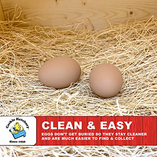 Cackle Hatchery Laying Hen Nest Box Pads and Chicken Coop Floor Pads Made in USA from Sustainable Aspen Exceslior - 13 x 13 Thick Pads (40 Pack) - size: 40 Pack