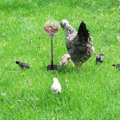 Chicken Enrichment Toys with Spring and Ground Stake, 4 Peck Treat Dispenser, Chicken Feeder for Coop, Coop Accessories for Hens, Geese, Ducks, Turkeys, Other Poultry - size: 4 Pack