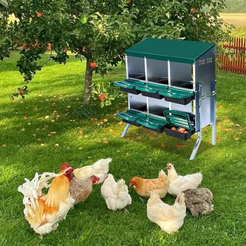 TrailBlaze Green Metal Chicken Nesting Box with Bracket Legs – 6 Compartments, Pull-Out Tray, Roll-Away Design, Lid Cover for Protection, Poultry Equipment – (Green with Bracket Legs, 6 Compartment