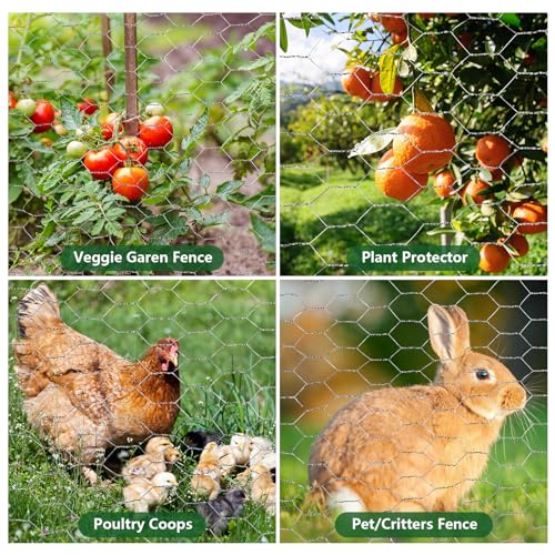 ROADPLUM Chicken Wire Mesh 13.8 x 157 in, Rustproof Galvanized Iron Garden Fence Barrier for Pet Rabbit Cat, Floral Chicken Wire Netting to Protect Poultry Plant Fruit - size: 13.8 x 157 in