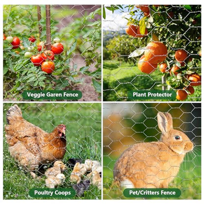 ROADPLUM Chicken Wire Mesh 13.8 x 157 in, Rustproof Galvanized Iron Garden Fence Barrier for Pet Rabbit Cat, Floral Chicken Wire Netting to Protect Poultry Plant Fruit - size: 13.8 x 157 in