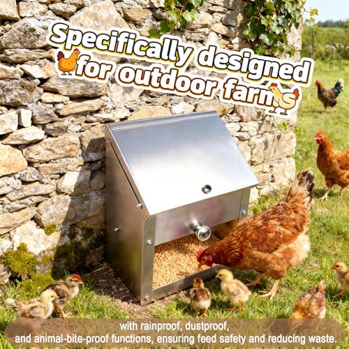 Stainless Steel Gravity Feeder for Squirrel, No Waste Hanging Chicken Feeder with Lid, Wall Mount Food Box for Duck Goose Stray Cat Small Pets Indoor Outdoor (10 lbs)
