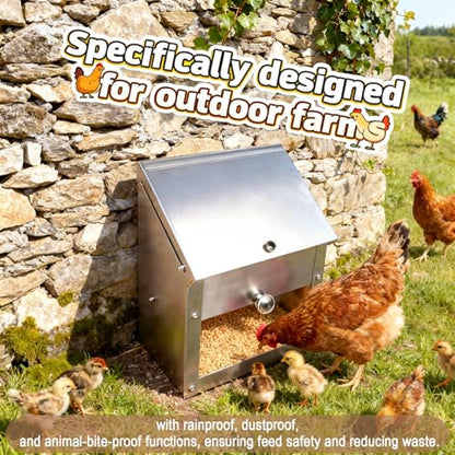 Stainless Steel Gravity Feeder for Squirrel, No Waste Hanging Chicken Feeder with Lid, Wall Mount Food Box for Duck Goose Stray Cat Small Pets Indoor Outdoor (10 lbs)