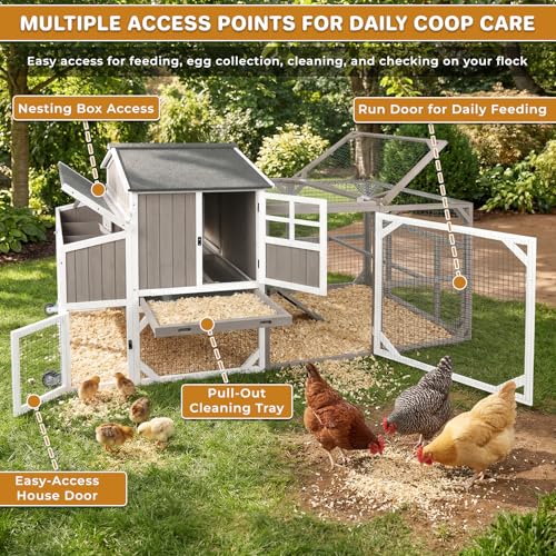 Large 95.3 in Outdoor Chicken Coop with Run & Wheels for 3-6 Chickens | Wooden coop with 3-compartment nesting box, 2 dividers, pull-out tray, UV-resistant roof, predator-resistant wire mesh