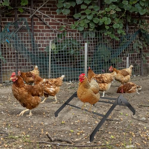 Adjustable Chicken Roosting Bars for Coop & Brooder – Heavy-Duty Metal Roost Ladder, Chick Perch for Hens, Farm-Ready Roosting Bar (Black)