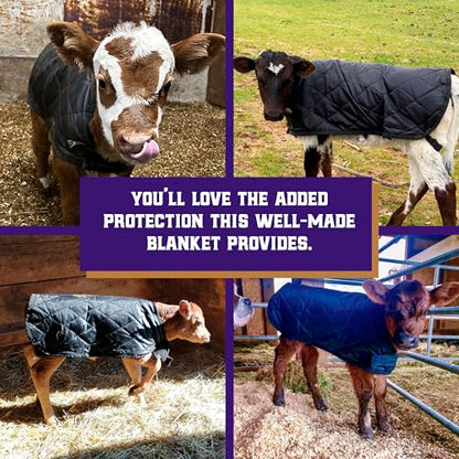 Weaver Livestock Warming Calf Blanket for Winter, Quilted Calf Coat with Buckle, Belly Protecting Livestock Shelter Blanket for Small Cattle