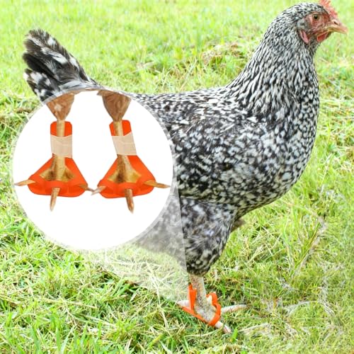 4-Size Chick Leg Splints for Splayed Leg, Soft Poultry Hobble Kit for Spraddle Leg - Adjustable Brace for Baby Chicks & Ducklings (Orange, Includes 2 Extra Straps)