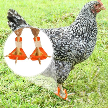 4-Size Chick Leg Splints for Splayed Leg, Soft Poultry Hobble Kit for Spraddle Leg - Adjustable Brace for Baby Chicks & Ducklings (Orange, Includes 2 Extra Straps)