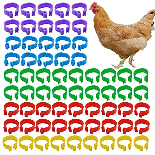 16mm Chicken Identification Leg Bands，Plastic Poultry Bird Leg Ring，Foot Round Tag Clips for Gamefowl Turkey Duck Goose Hens Guinea Parrot Birds (Multi-Color) (100 pcs Colorful)
