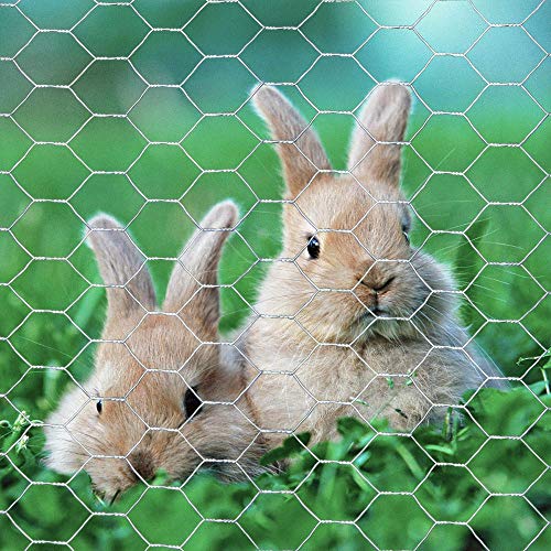 20GA Galvanized Hexagonal Poultry Netting Chicken Wire 72 inches x 50 feet x 1 inch Mesh - size: 72"x50'