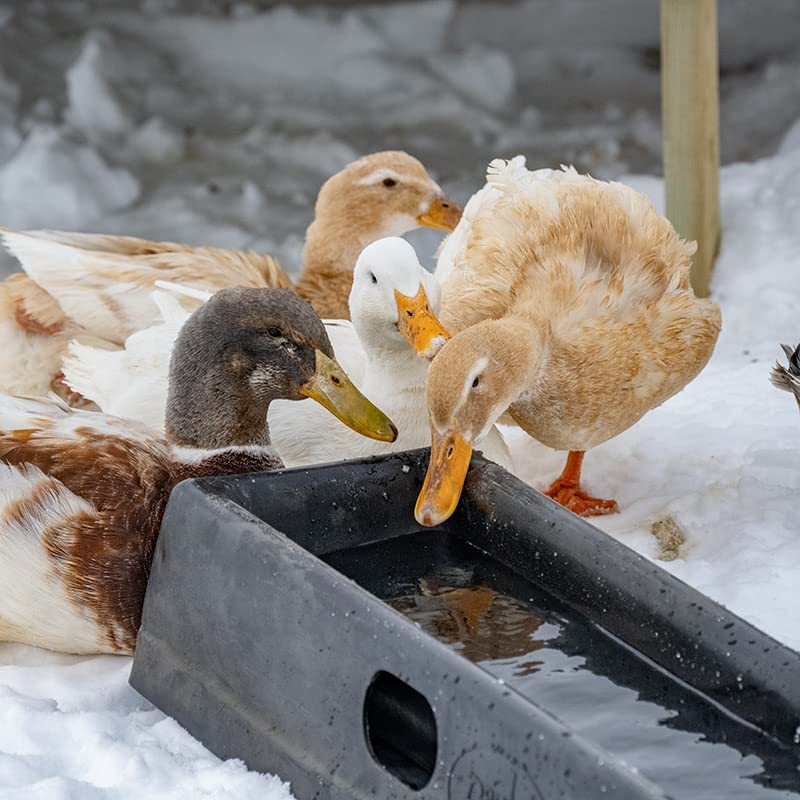 Premier 1 PortaTrough™ 3 - Portable Feed/Water Trough - 34" L x 12.25" W x 5.25" D