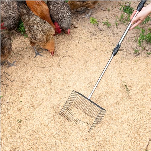 2-in-1 Chicken Poop Scooper with Rake – Adjustable Stainless Steel Handle (36"-62"), Heavy-Duty Sand Sifter & Litter Scoop for Chicken Coop, Duck Pen, Rabbit Hutch