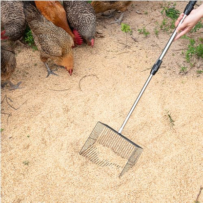 2-in-1 Chicken Poop Scooper with Rake – Adjustable Stainless Steel Handle (36"-62"), Heavy-Duty Sand Sifter & Litter Scoop for Chicken Coop, Duck Pen, Rabbit Hutch