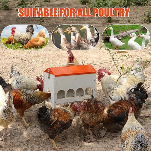 17Lbs Chicken Feeder No Waste Poultry Feeder 10 Feeding Ports | Base No Buildup-No Waste, With Secure Locking Lid & Adjustable Legs, Galvanized Metal, Coop Food Dispenser For Backyard Flock