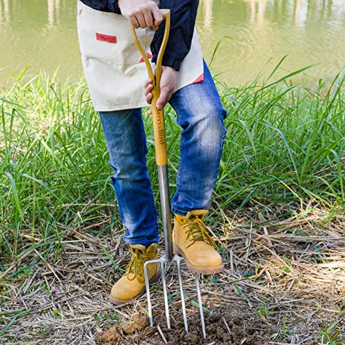 Berry&Bird Gardening Digging Fork, 4-Tine Stainless Steel Pitchfork, 43.9" Heavy Duty Spading Fork with D-Grip Handle and Ergonomic Ash Wood Handle for Digging, Planting, Cultivating, Aerating - size: 44in