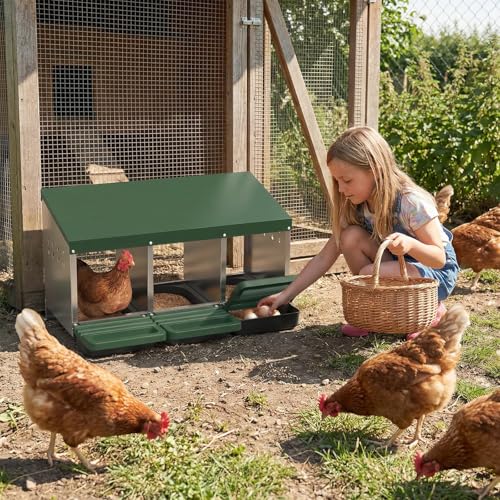 Metal Chicken Nesting Box – 3 Holes, Roll Away Egg Laying, Heavy Duty Galvanized Steel, Protective Lid, Wall Mounted or Freestanding, Easy Clean, Vented Pegboard Design, Green (Pegboard - color: Green, size: 3 Room&Mat Board