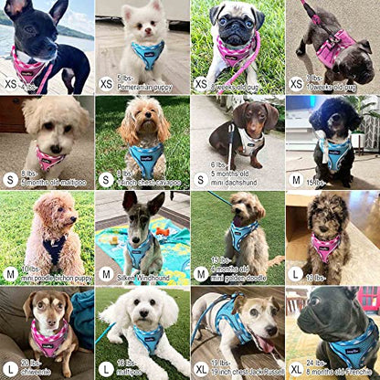 haapaw Dog Harness with Leash Set, No Pull Adjustable Reflective Step-in Puppy Harness with Thickened Padded Vest for Extra-Small/Small Medium Dogs - color: Grey / Blue, size: S