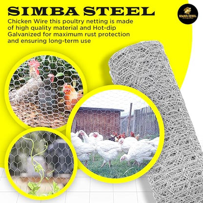 Chicken Wire 36 in x 50 FT x 2” Mesh x 20GA | Poultry Wire Netting | Hot Dipped Galvanised | Hexagonal Galvanized Mesh for Chicken Coop, Rabbit Cage, Fence Barrier PM36x50x2 - style: 36 in x 50 FT x 2 in