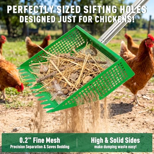 TOOGE Large Chicken Poop Scooper: 2-in-1 Metal Pooper Scooper & Rake Adjustable 62" Long Handle Stainless Steel Sand Sifting Litter Shovel Chicken Coop Scoop Cleaning Tool for Goat Yard Bright Green - color: Bright Green