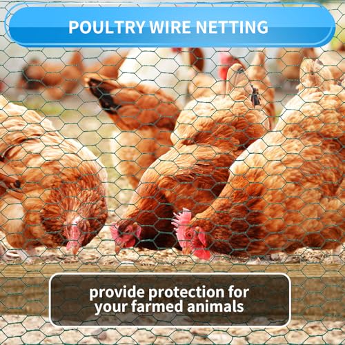 48'' x 50' Green Chicken Wire Fencing, 1 inch Chicken Wire and 19 Gauge Poultry Netting, Garden Mesh Fence Roll for Floral Arrangements/Crafts/Farm/Livestock/Pet Protection - size: Green 48'' x 50'
