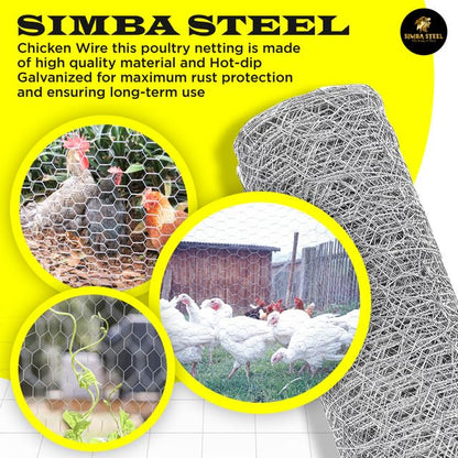 Chicken Wire 36 in x 150 FT x 2” Mesh x 20GA | Poultry Wire Netting | Hot Dipped Galvanised | Hexagonal Galvanized Mesh for Chicken Coop, Rabbit Cage, Fence Barrier PM36x150x2 - style: 36 in x 150 FT x 2 in