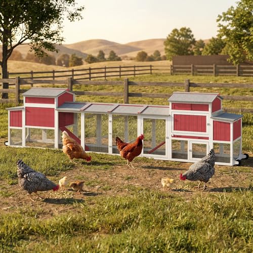 Large Chicken Coop with Run for 6-12 Chickens, Mobile Outdoor Hen House Chicken Tractor with Wheels, Wooden Poultry Cage Full Asphalt Roof, Nesting Box, Pull-Out Tray & Fun Swing 165.4" L - color: Red