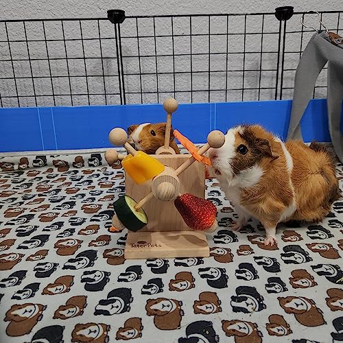 Enrichment Toy Turning Hanging for Guinea Pigs, Rabbits, Birds, Rats and Other Small Pets! Load with Veggies and Fruit (Two-Turntable Toy) - style: Two-Turntable Toy