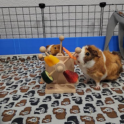 Enrichment Toy Turning Hanging for Guinea Pigs, Rabbits, Birds, Rats and Other Small Pets! Load with Veggies and Fruit (Two-Turntable Toy) - style: Two-Turntable Toy