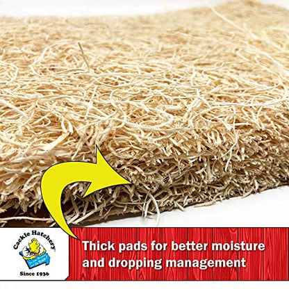 Cackle Hatchery Laying Hen Nest Box Pads Made in USA from Sustainable Aspen Exceslior - 13x13 Nesting Box Liners (24 Pack) - size: 24 Pack