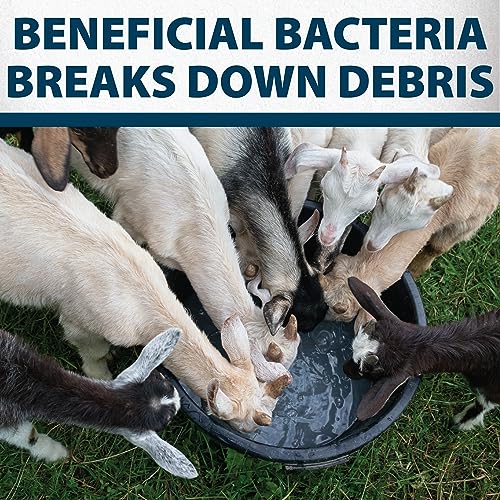 Airmax Stock Tank Defense, Livestock Water Trough Cleaner, Clean Drinking Tanks for Horse, Cattle, Goat & Chicken, Safe & Easy-to-Use Cleaning Tablet Treatment for Farming & Agricultural Use, 6 Tabs - size: 6 Tablets