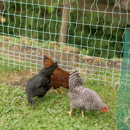 Starkline Electric Poultry Netting Kit w/AC Energizer - 48"x82' White/Blue Poultry Netting - (12/48/3) All-in-One Electric Fence Kit for Backyards, Homesteads, Ranches or Farms