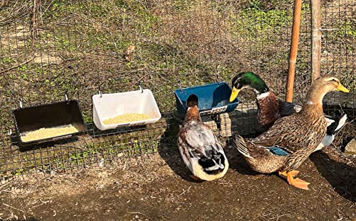 Chicken Feeder Waterer, Goat Feeder - 2 Pack, 5.5 Quart, for Goats Chickens Duck Sheeple Dogs Piglets Deers Gooses, Turkeys, Goat Supplies(Appearance Patent Product) - color: Black