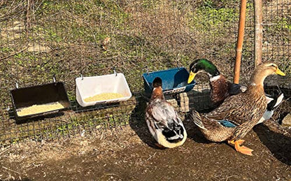 Chicken Feeder Waterer, Goat Feeder - 2 Pack, 5.5 Quart, for Goats Chickens Duck Sheeple Dogs Piglets Deers Gooses, Turkeys, Goat Supplies(Appearance Patent Product) - color: Dark green