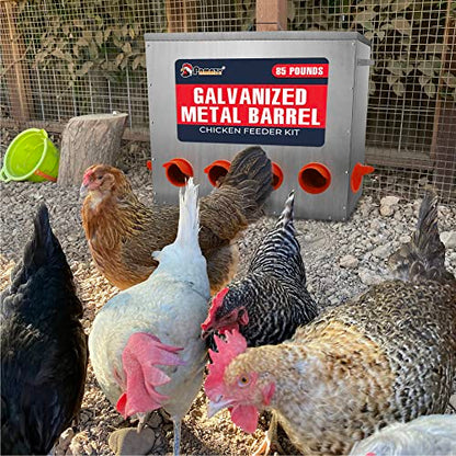 Large Capacity 85lbs Automatic Metal Poultry Feeder Set, Chicken Galvanized Trough, Chicken Feeder No Waste, Rainproof Poultry Feeders, Preventing Small Animals, Suitable for Chickens, Ducks, Turkeys