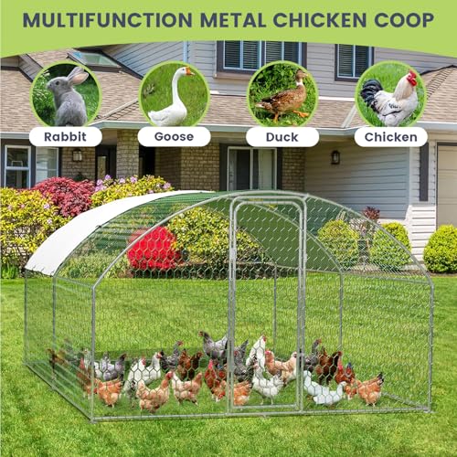 Large Metal Chicken Coop, Large Chicken Coop for Yard, Walk-in Poultry Cage with Waterproof and Anti-Uv Cover, Chicken Run for Outdoor Backyard Farm, Doom Roof, 9.8×13.1×6.6ft - size: 9.8 x 13.1 x 6.6 ft