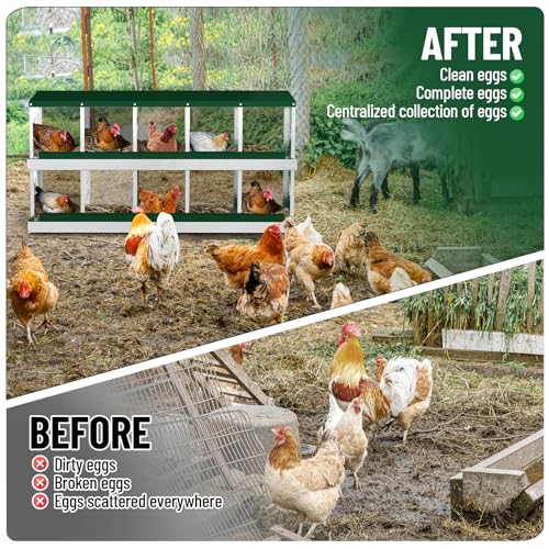 Chicken Nesting Box,10 Holes Galvanized Steel Metal Chicken Laying Box with Automatic Roll-Away Egg Collection System & Removable Tray,Wall Mount Nesting Boxes - color: Green, size: 10 Holes