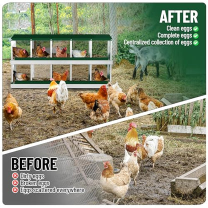 Heavy-Duty Galvanized Steel Chicken Nesting Box – 10 Large Vented Compartments, Rollout Egg Collection, Easy Install & Clean – Green - color: Green, size: 10-Holes